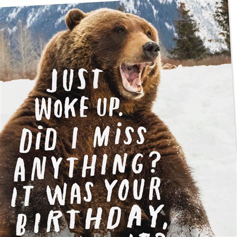 Hibernating Brown Bear Funny Belated Birthday Card Greeting Cards