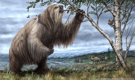 Giant Ground Sloth Brian Engh Prehistoricanimals Giant Ground Sloth