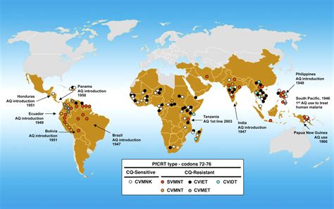 Geographic Patterns Of Plasmodium Falciparum Drug Resistance Distinguished By Differential