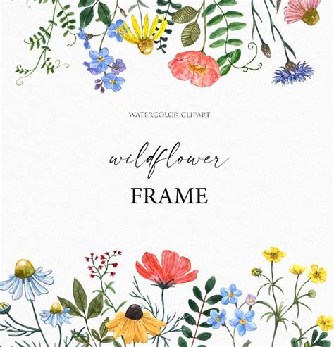 Floral Frame Wildflower Border Clipart Watercolor Clip Art Etsy