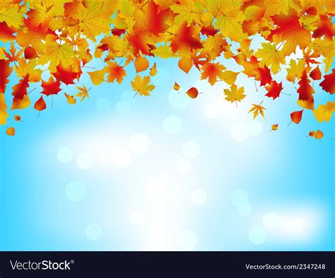 Autumn Leaves On Blue Sky Eps 8 Royalty Free Vector Image
