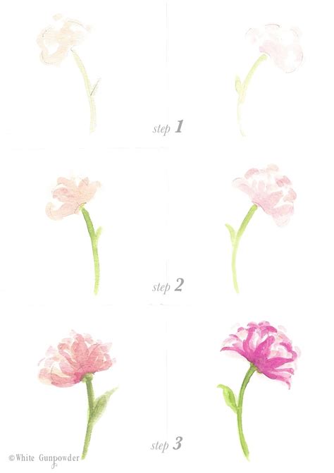 How to paint watercolor flowers step by step. Watercolor Painting - White Gunpowder