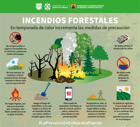 sigue las siguientes recomendaciones para evitar incendios forestales no arrojes cigarros