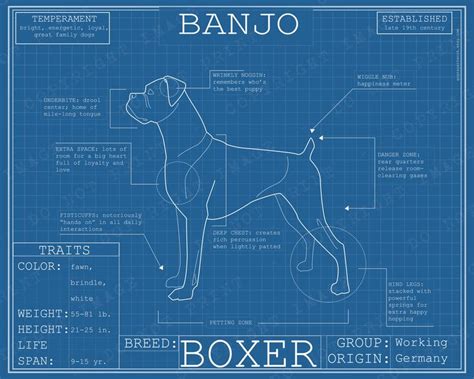 Dog Breed Blueprint Custom Pet Portrait Boxer Puppy Poster Etsy