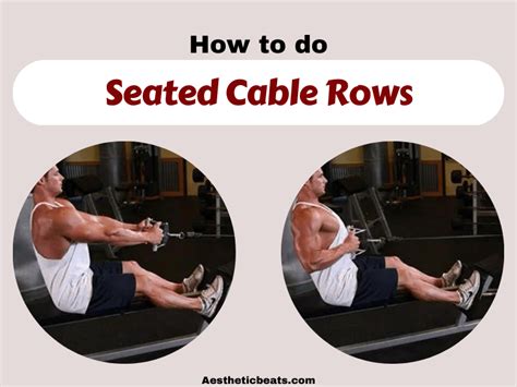 seated cable rows back exercise aestheticbeats