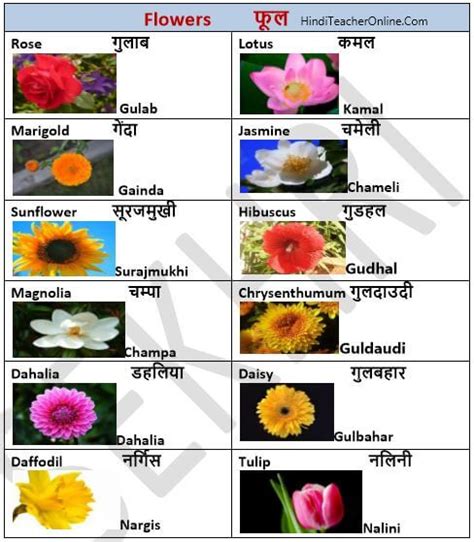 Free Hindi Charts For Kids Hindi Flowers Chart Hindi Teacher Online Com