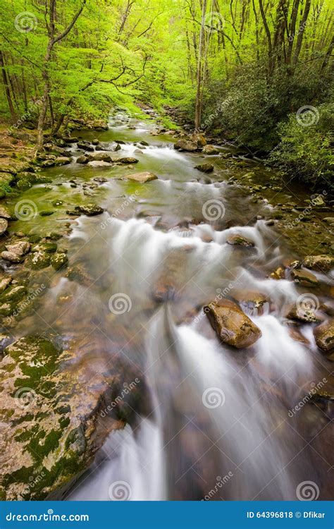 Cascading Stream In The Smokies Stock Photo Image Of Forest National