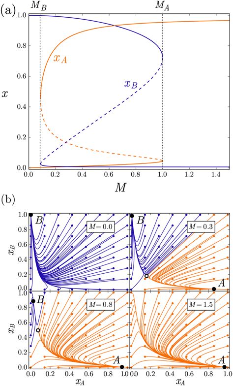 Dynamical Behaviour Of The Bistable Switch A Bifurcation Diagram Of