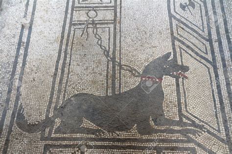 Dogs In Ancient Greece Brewminate A Bold Blend Of News And Ideas