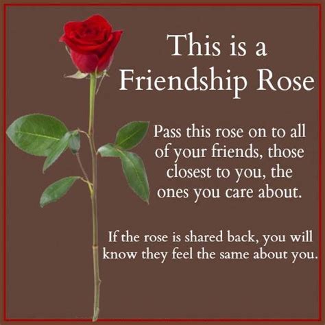 Roses Friendship Quotes Quotesgram