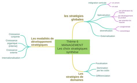 Thème 6 Management Les Choix Stratégiques Synthèse Les Stratégies