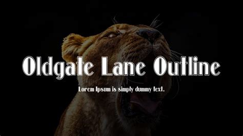 Oldgate Lane Outline Font Download Free For Desktop And Webfont