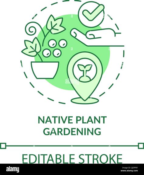 Native Plant Gardening Green Concept Icon Stock Vector Image And Art Alamy