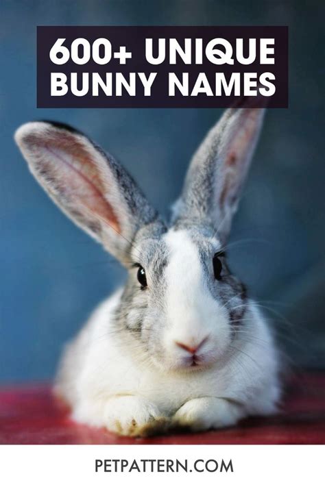 600 Unique Bunny Names In 2021 Bunny Names Bunny Rabbit Names