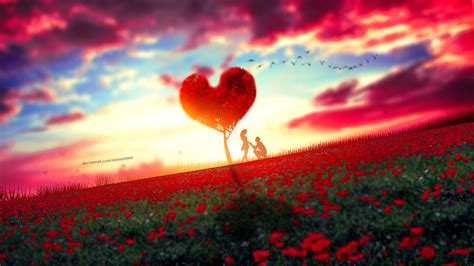 Desktop Wallpaper Couple Romantic Moment Rose Farm Tree Sunset Hd
