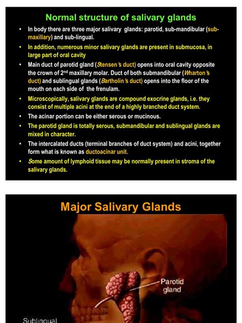 Diseases Of The Salivary Gland