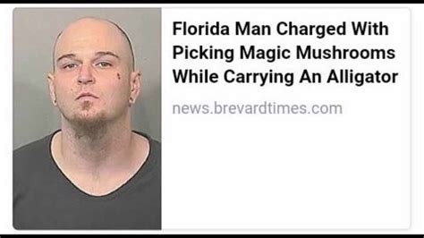 Florida Man Gone Stir Crazy The Strangest Headlines From Film Daily