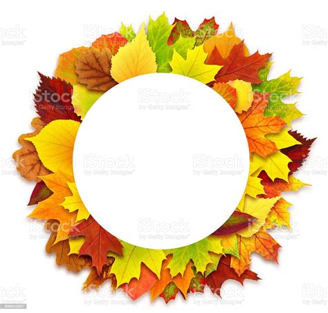 Round Autumn Leaves Border Isolated On White Stock Photo Download