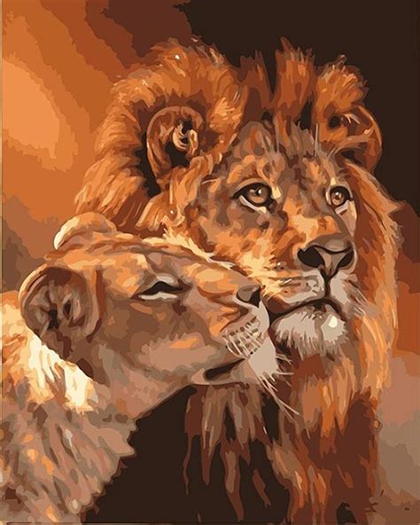 Lion And Lioness Paint By Numbers Warehouse