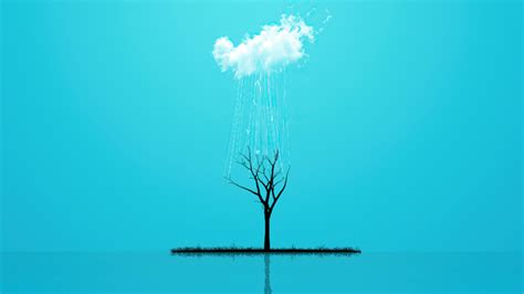 Minimal Nature Tree 4k Hd Artist 4k Wallpapers Images Backgrounds Photos And Pictures