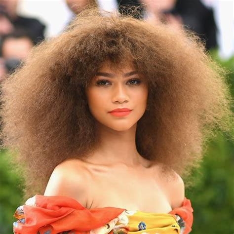 She is aged 22 years as of 2019. Who Are Zendaya's Parents? - Zendaya's Sibings and Family