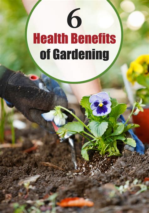 6 Amazing Health Benefits Of Gardening