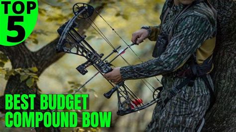 Top 5 Best Budget Compound Bow Bowhunting For 2021 YouTube