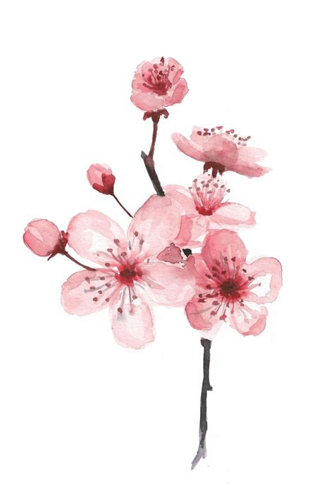 I Also Like Apple And Cherry Blossoms If This Was Upside Down Branch