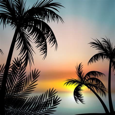 Sunset Vector With Palm Trees Vector Art And Graphics