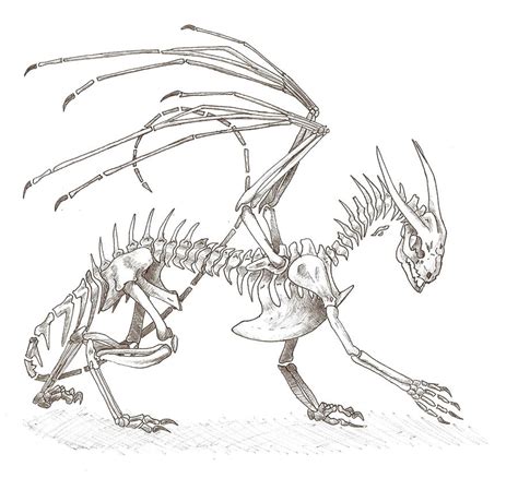 Random Dragon Skeleton 10100 By Ouari On Deviantart