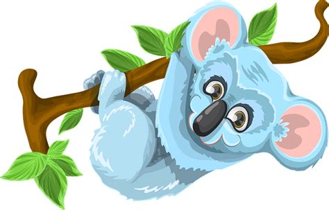 Koala Hanging From Branch Clipart Free Download Transparent Png