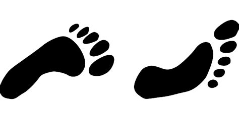 Footprints Feet Walking · Free Vector Graphic On Pixabay