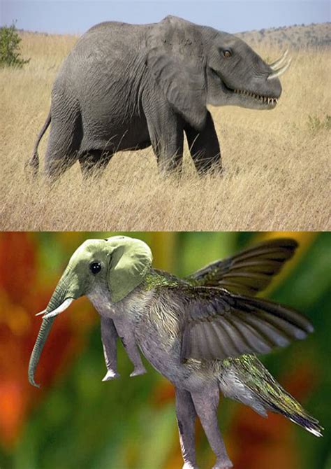15 Hybrid Animals Born In The Land Of Photoshop
