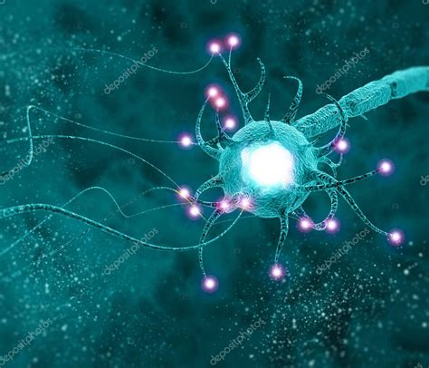 La Sinapsis Es Una Estructura Que Permite A Una Neurona O Célula