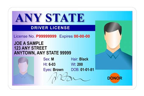 Top 151 Imagen Drivers License Background Check Free