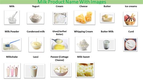 16 Types Of Healthy Food Dairy Products Name Images Healthy Recipes