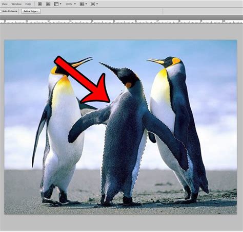 How To Fill A Background Layer In Photoshop Cs5 Solve Your Tech