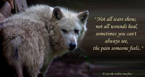 Let The Wolves Run Free Wolf Quotes Warrior Quotes Lone Wolf Quotes
