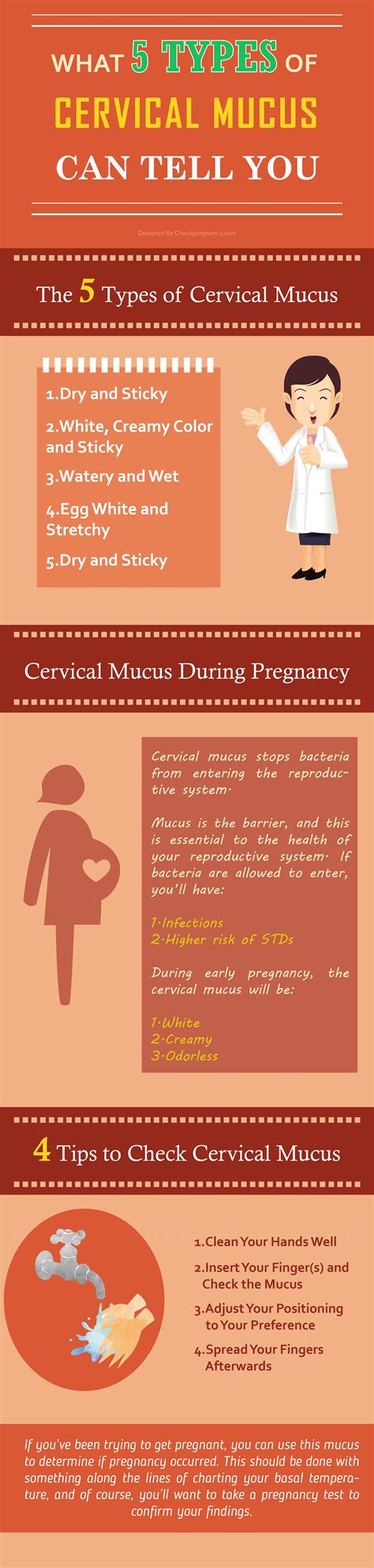 Learn the common ovulation symptoms and signs of ovulation in this article, including how ovulation works and how it relates to your period. Early Pregnancy Cervical Mucus Stages - Blackmores Pregnancy