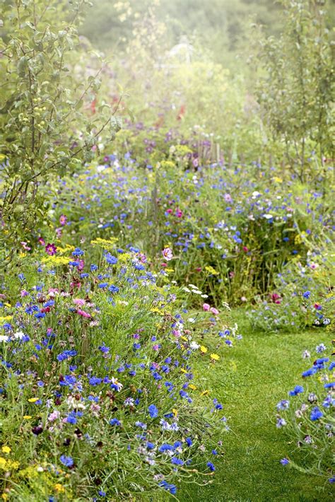 4 Easy Ways To Create Your Own Wild Garden