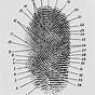 Fingerprint Circuit Diagram