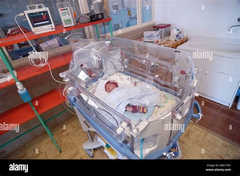 New Born Premature Baby In Incubator Neonatal Intensive Care Unit