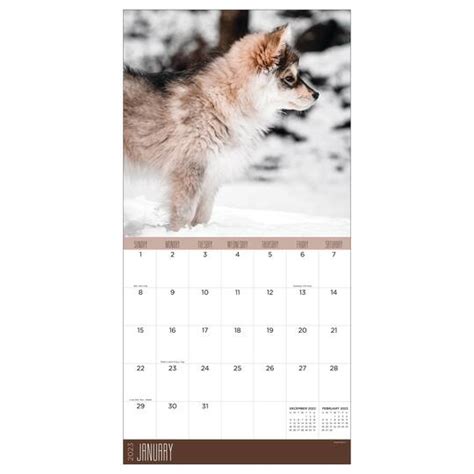 Tf Publishing 2023 Wolves Wall Calendar Michaels