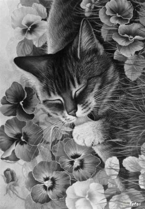 Detailed Cat Coloring Page - 71+ Crafter Files