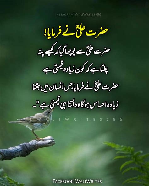 Hazrat Ali R A Ke Aqwal Beautiful Quotes About Allah Wonder