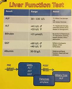 Quick Reference Guide Blood Test Interpretation V2 0 Alfamed