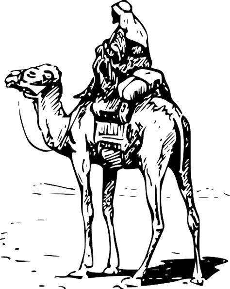 Camel Sand Animal Free Vector Graphic On Pixabay