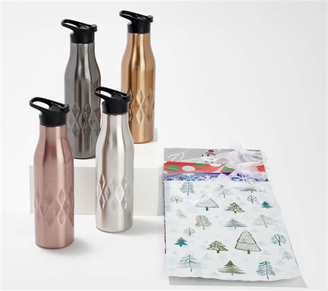 Primula Peak Set Of 4 Insulated Water Bottles With T Bags