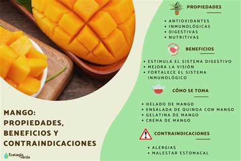 Mango propiedades beneficios y contraindicaciones Guía completa