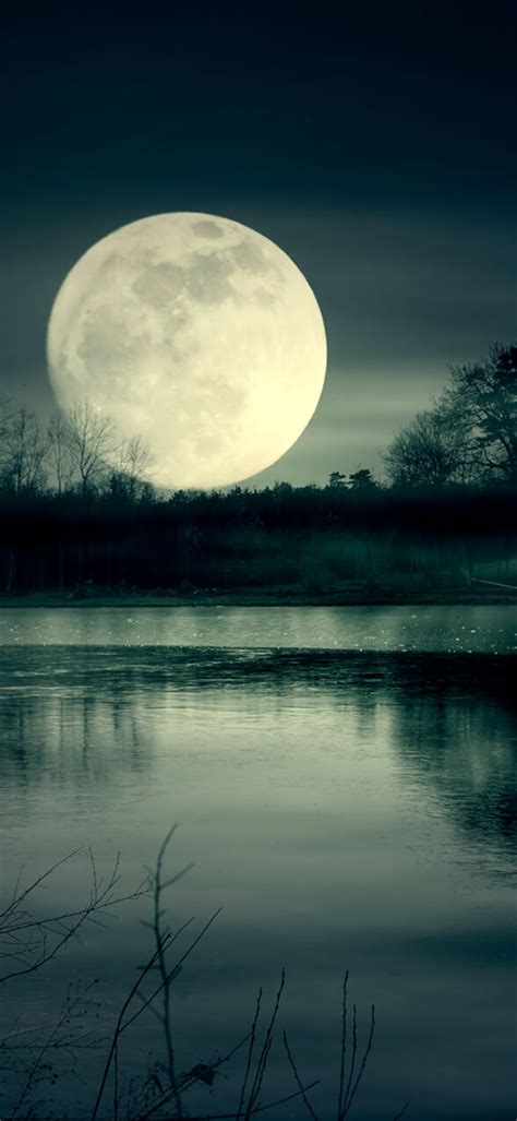 1440x3120 Full Moon Night Near Lake 1440x3120 Resolution Wallpaper Hd